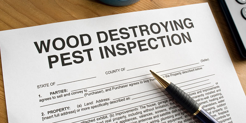 Don’t Buy a Property Without Learning About Real Estate Inspections